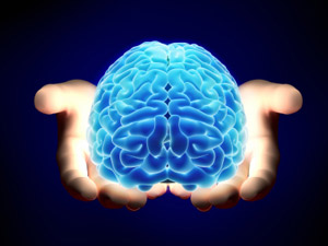 BrainInHands The Link between a Healthy Body and a Healthy Brain